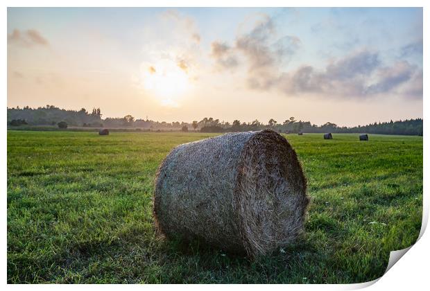 Haystack rolls on field in sunset light. Print by Alexey Rezvykh