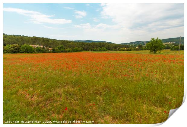 Poppy Fields Provence early summer. Print by David May