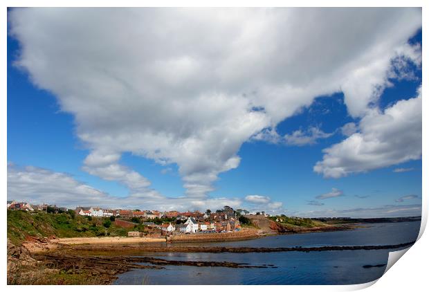 Crail Harbour Print by Adrian Snowball