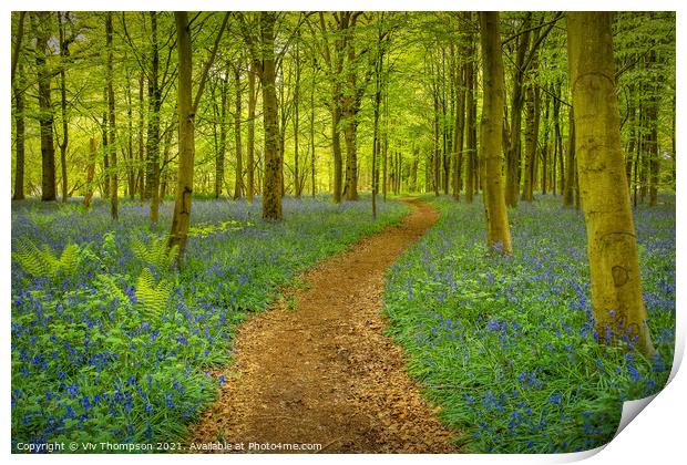 A Walk in the Woods Print by Viv Thompson