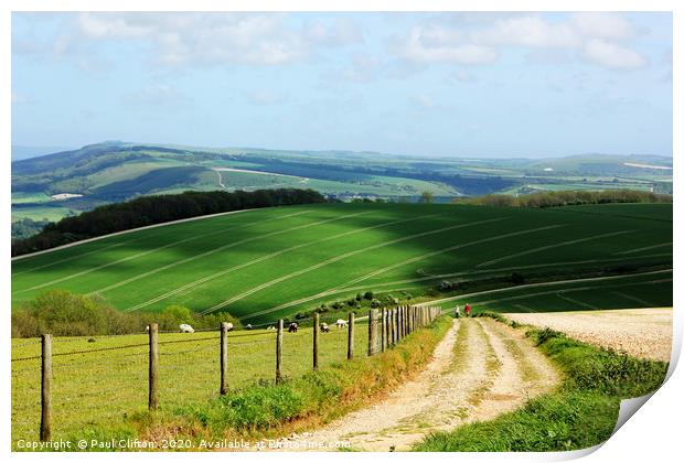A view of the south downs national park Print by Paul Clifton