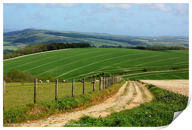 South downs view Print by Paul Clifton