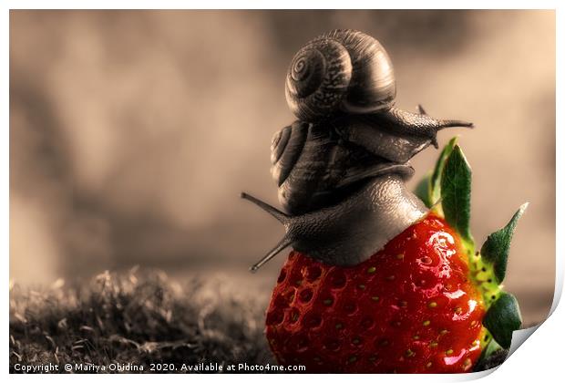 Strawberry accent on black and white photography. Print by Mariya Obidina