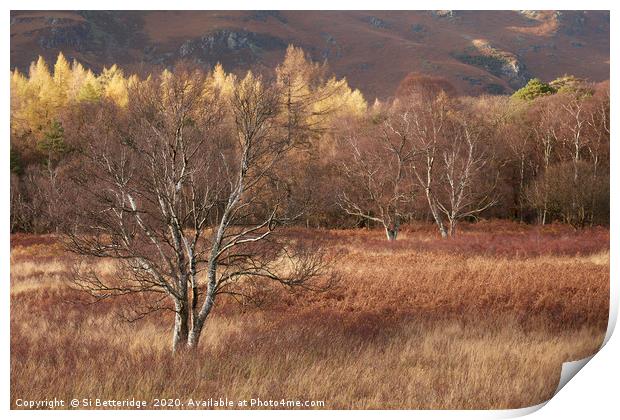 Passing Light Print by Si Betteridge