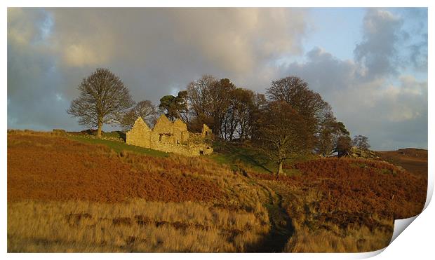 Landscape   -    Blawearie Northumnberland  Print by David Turnbull