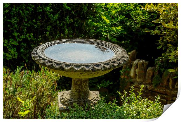 Beautiful park in antique style, stone decorations Print by Q77 photo