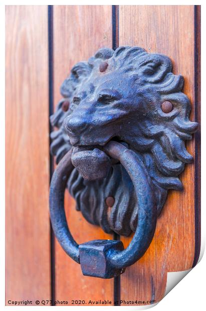 Door with brass knocker in the shape of a lion's h Print by Q77 photo