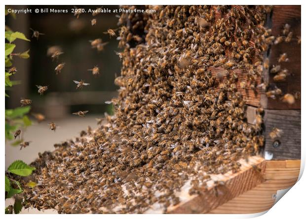 Bee Swarm chaos Print by Bill Moores