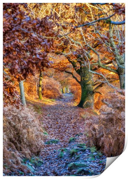 Autumn in Conwy Print by Rick Lindley