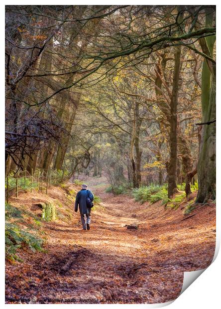 Autumn Days Print by Rick Lindley