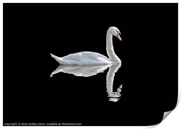 Swan Print by Rick Lindley