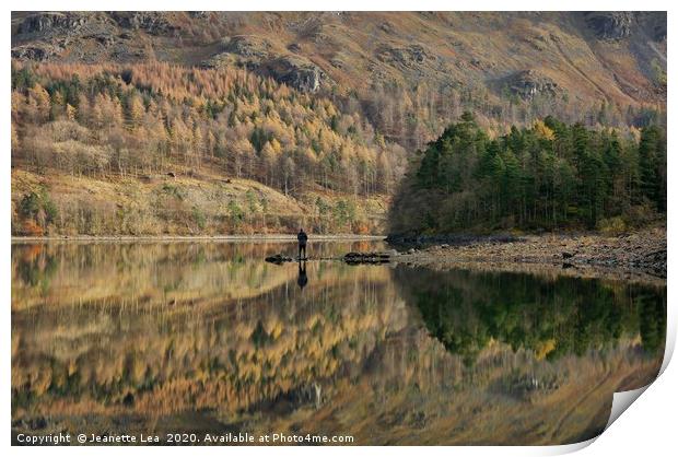 Thirlmere Reflections Print by Jeanette Lea