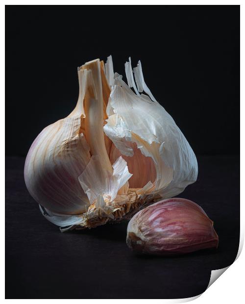 Majestic Garlic on Dark Background Still Life Print by Ioan Decean