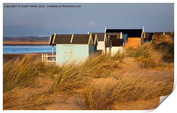 Evening Light on the Beach Huts at Wells  Print by David Powley