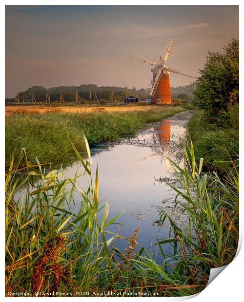 Dawn reflections of Horsey Mill Norfolk Print by David Powley