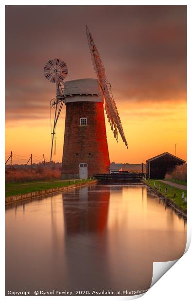 Winter sunset over Horsey Mill Print by David Powley