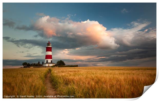 Evening light over Happisburgh Lighthouse Norfolk Print by David Powley