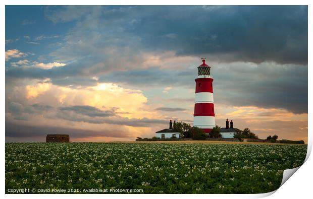 Evening light over Happisburgh Lighthouse Print by David Powley