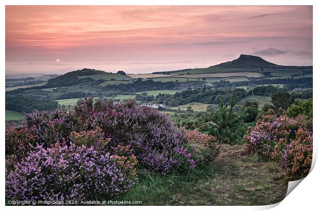 Late Summer light at Roseberry Topping  Print by Phillip Dove LRPS