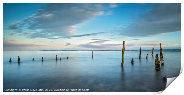 Lindisfarne Jetty Timbers Print by Phillip Dove LRPS