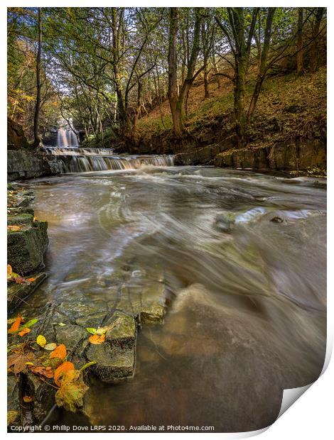 Bowlees in Autumn Print by Phillip Dove LRPS