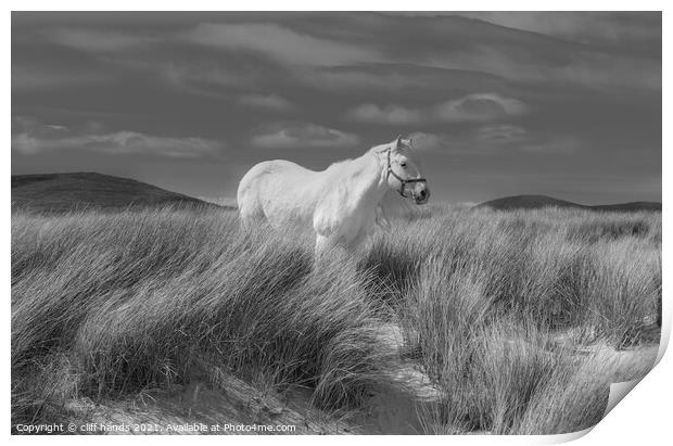 Luskentyre white horse. Print by Scotland's Scenery