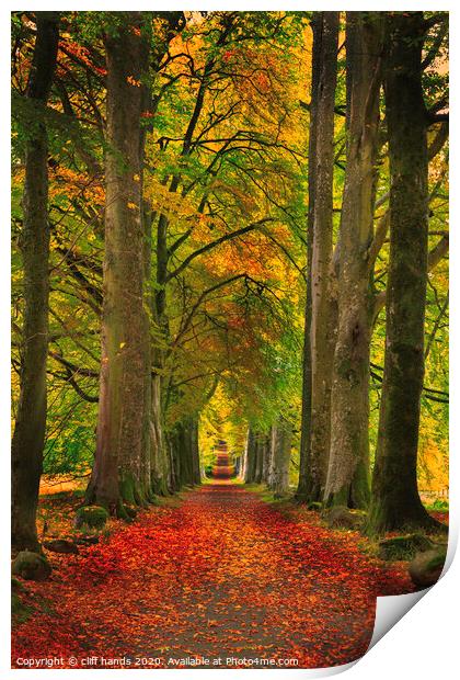 Avenue of Autumn in Scotland Print by Scotland's Scenery