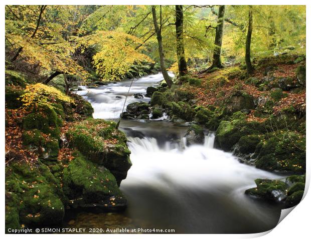 AUTUMN WOODLAND AND RIVER Print by SIMON STAPLEY