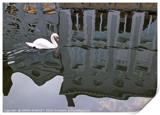 SWAN ON BRUGGES CANAL Print by SIMON STAPLEY