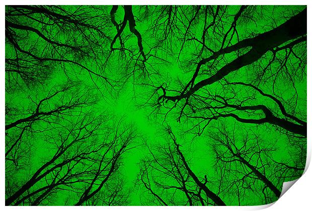 Root or Branch – “Green Positive Image”  Print by Simon Griffiths