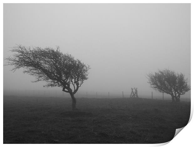 Black and White Tree in the mist Print by Christopher Stores