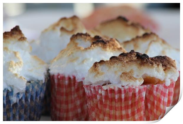 A close up of a piece of cake on a plate Print by Christopher Stores