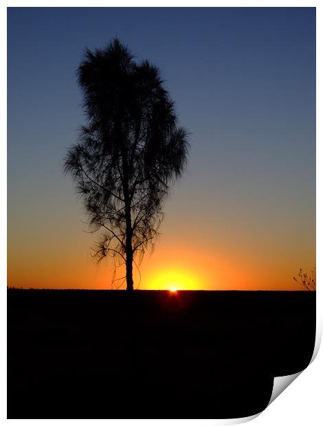 Sunrise near Uluru, Australia Print by Christopher Stores
