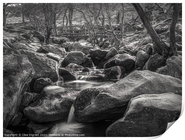 Spring at Padley Gorge Print by Clive Ingram