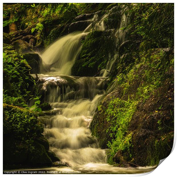 Badger Dingle waterfall Print by Clive Ingram