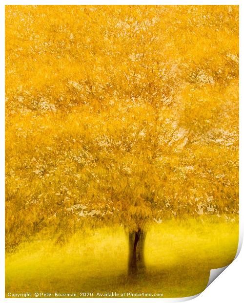 Yellow Burst Print by Peter Boazman