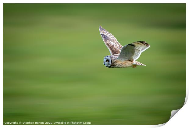 Short-eared owl in flight Print by Stephen Rennie
