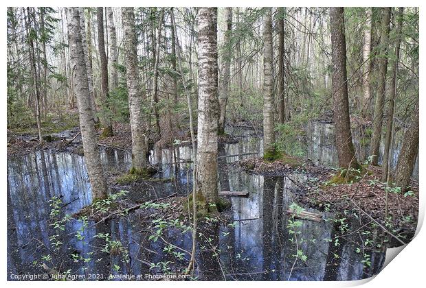 Flooded Forest Print by Juha Agren