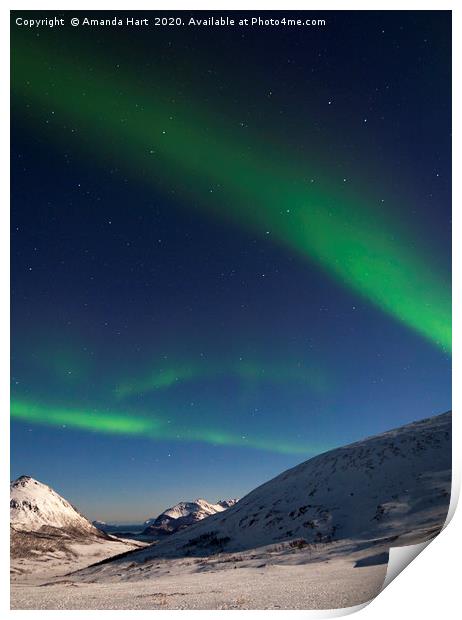 Aurora Borealis and Ursa Major, Norway Print by Amanda Hart