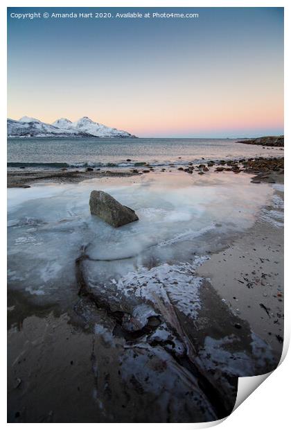 Frozen beach in Norway Print by Amanda Hart