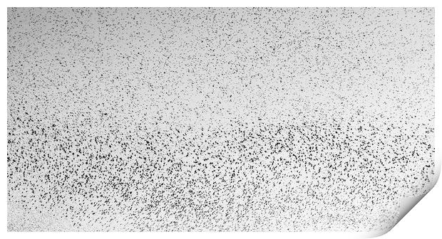 Starlings Print by Marc Jones