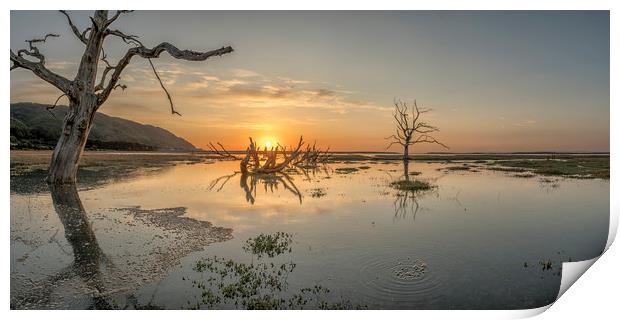 Spring Tide Sunset on Porlock Marsh, Exmoor Print by Shaun Davey