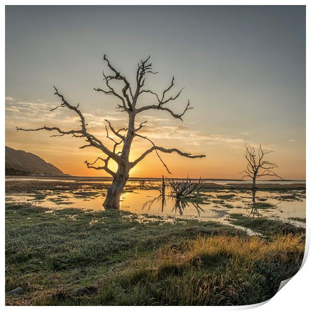 Sunset on Porlock Marsh, Exmoor National Park Print by Shaun Davey