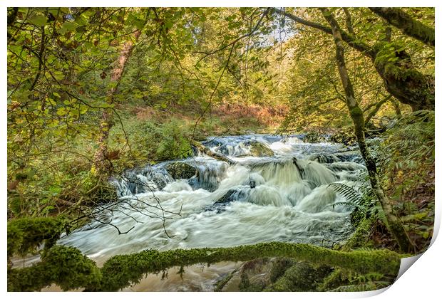 Horner Water in flood, Exmoor National Park Print by Shaun Davey