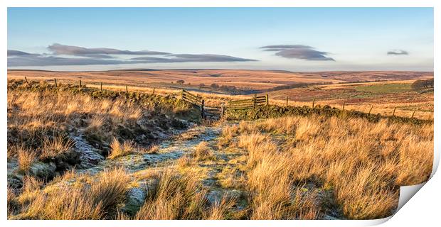 Frosty dawn gateway, Porlock Allotment Print by Shaun Davey