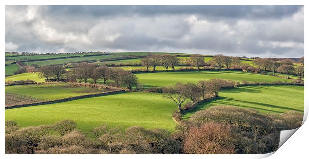 View over Wilmersham Farm and Pool Farm, Exmoor Print by Shaun Davey