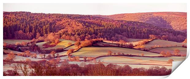 Frosty dawn fields on the Vale of Porlock Print by Shaun Davey