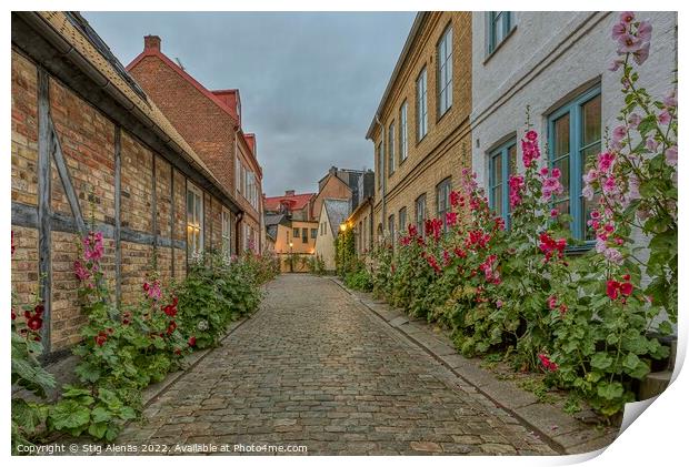 old cobblestone alleyway with half timbered houses and red holly Print by Stig Alenäs