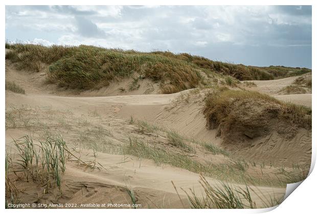 scenic sand dunes at Lakolk on the island Rømø Print by Stig Alenäs