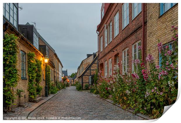 Hjortgatan is a scenic alley with hollyhocks in the old town of  Print by Stig Alenäs